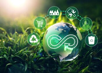 Circular Economy: New Opportunities for Business
